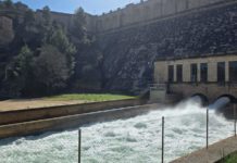 La CHE genera una crecida controlada en el Guadalope para restaurar su ecosistema y mejorar su estado