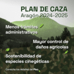 DGA PLAN CAZA – 300×300 BANNER
