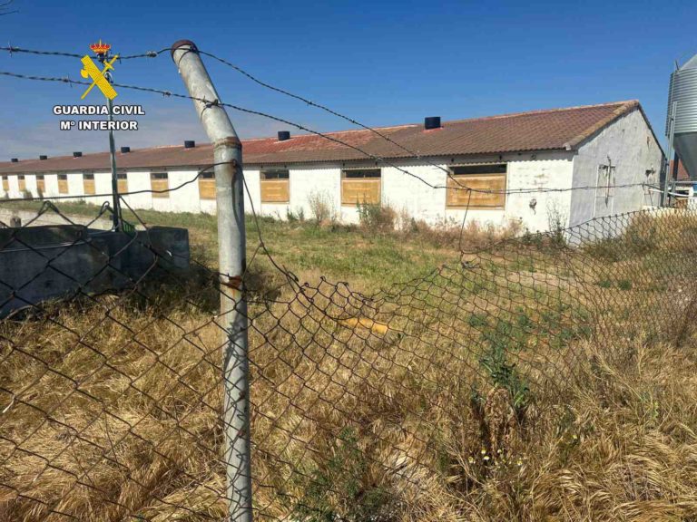 Detenidos cinco implicados en intento de robo en empresa de Caminreal