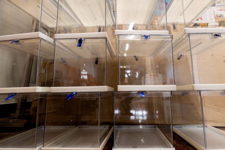 Zaragoza tiene todo preparado para la celebración de las elecciones europeas del próximo domingo