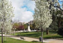 El 66% de la población de Zaragoza tiene un parque a menos de 300 metros de su hogar