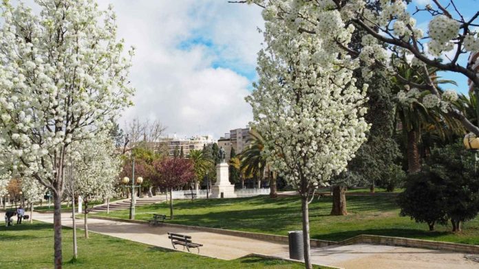 El 66% de la población de Zaragoza tiene un parque a menos de 300 metros de su hogar_1_compressed