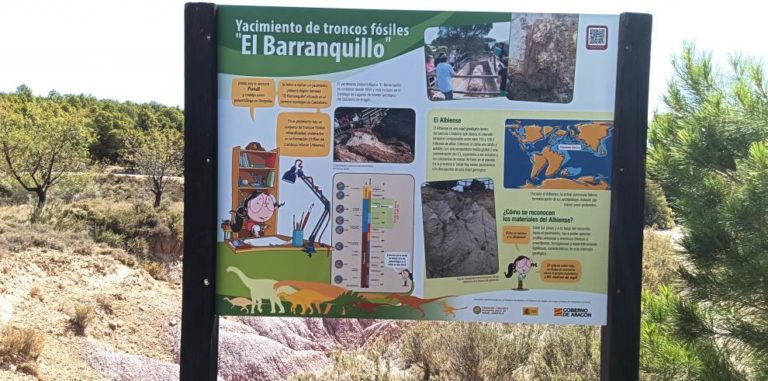 El Barranquillo: renovado yacimiento paleontológico que revela fósiles únicos de 100 millones de años