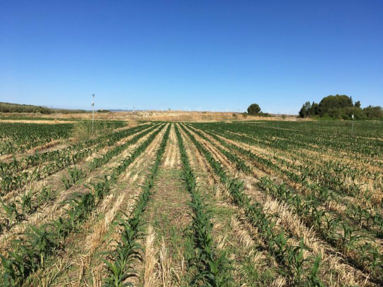 El CITA organiza un encuentro para impulsar la colaboración con empresas agroalimentarias en Huesca