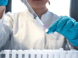 El Gobierno de Aragón destina 100.000 euros para fomentar la divulgación científica en 2025