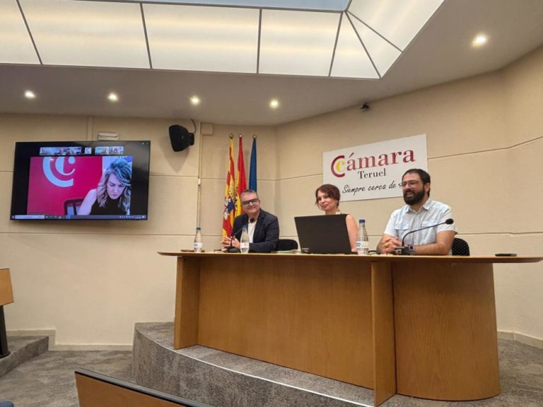 El Gobierno de Aragón destina 500.000 euros del FITE a modernizar el comercio en Teruel