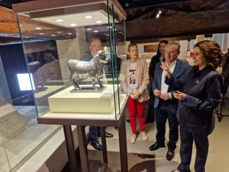 El Torico de Teruel se exhibe en el Museo de la ciudad tras su restauración