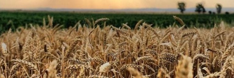 El sector agrario aragonés se enfrenta a una crisis de rentabilidad