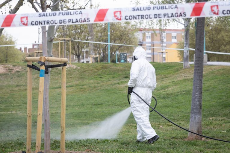 Zaragoza adelanta la desinsectación en parques para prevenir garrapatas