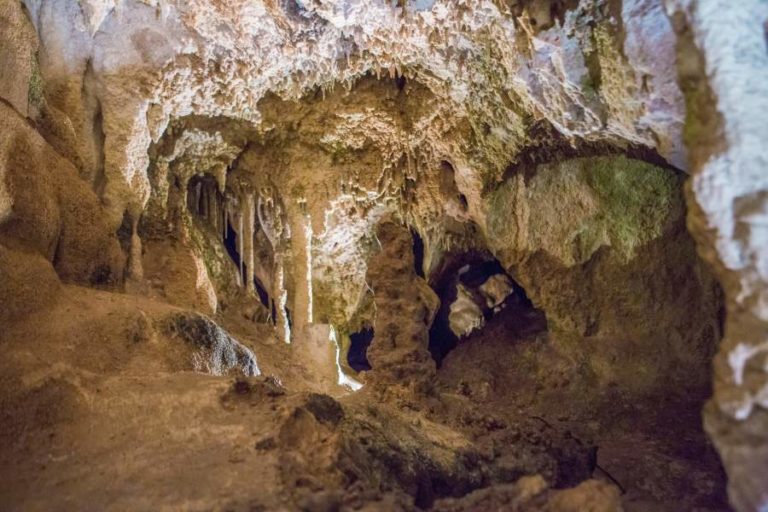 Planes en Aragón para este fin de semana: cultura, naturaleza y ocio por menos de 20 euros