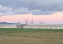 Gobierno de Aragón solicita urgente Conferencia Sectorial por la Peste Porcina Africana