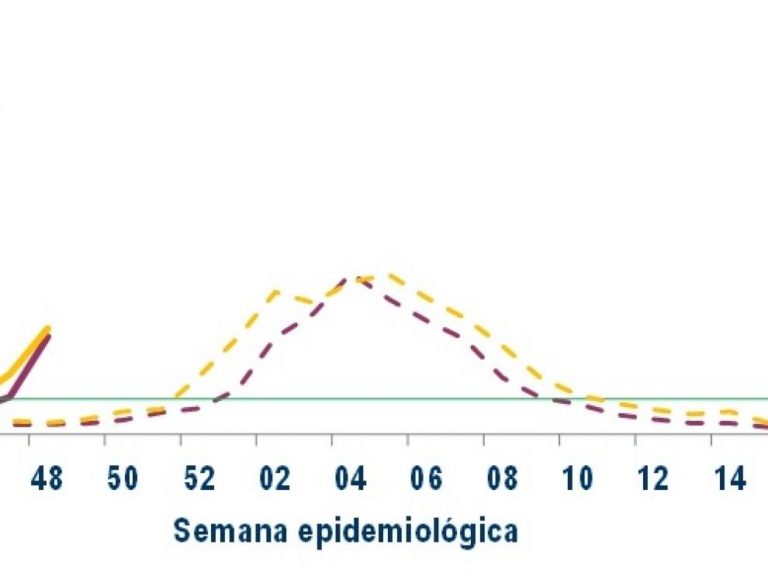 Huesca en nivel 2 de riesgo por gripe tras aumentar incidencia a 71,2 casos por 100.000 habitantes