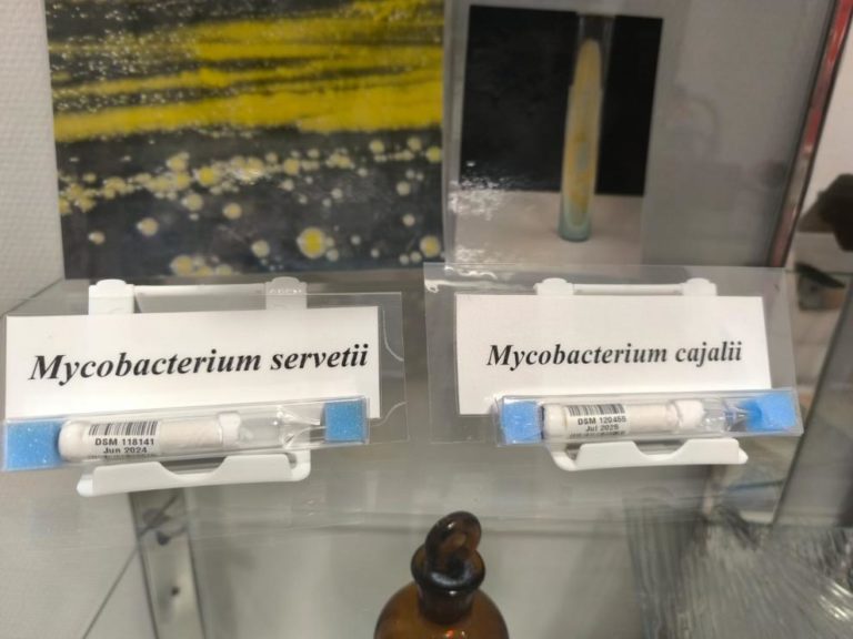 Identifican una nueva bacteria en el Hospital Universitario Miguel Servet: Mycobacterium cajalii Identifican una nueva bacteria en el Hospital Universitario Miguel Servet: Mycobacterium cajalii