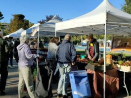 La inflación en Aragón alcanza el 2,4% en febrero, superando la media nacional