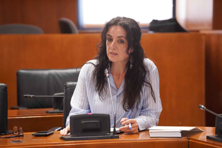 Izquierda Unida logra el apoyo unánime de las Cortes de Aragón a la plantilla de Zelenza CEX