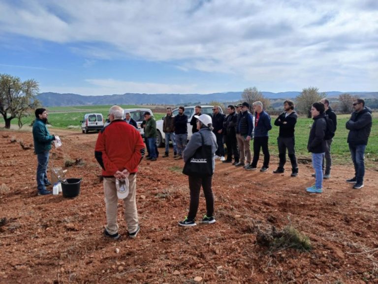 Jornada en Teruel enseña técnicas de injerto para revitalizar viñedos locales