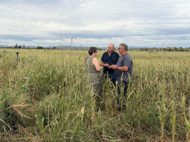 La consejera de Agricultura visita zonas agrícolas afectadas por granizo en el Bajo Aragón y Cinco Villas