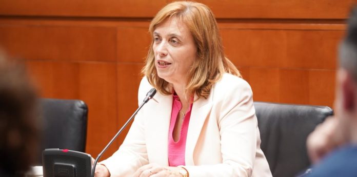 La directora general de Salud Pública, Nuria Gayán, en su comparecencia esta tarde en las Cortes de Aragón