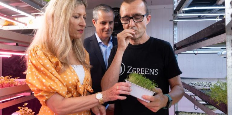 CEEI Aragón liderará la creación de 50 startups en el nuevo Parque Tecnológico de Zaragoza