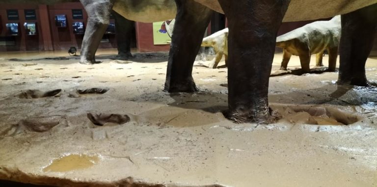 Legendark cierra por daños tras tormentas pero promete nuevas mejoras para 2025