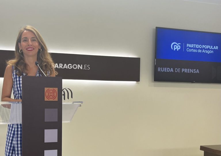 El PP pide al Gobierno de España acelerar mejoras en la red eléctrica de Aragón