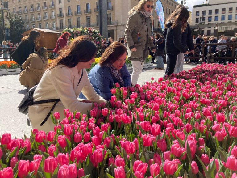 Zaragoza celebra un nuevo Mercado Solidario de Tulipanes a beneficio de la lucha contra el cáncer