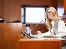 Mar Vaquero aboga por que la energía generada se consuma en Aragón