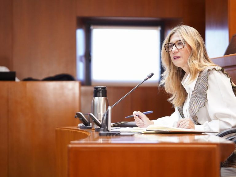 Mar Vaquero aboga por que la energía generada se consuma en Aragón