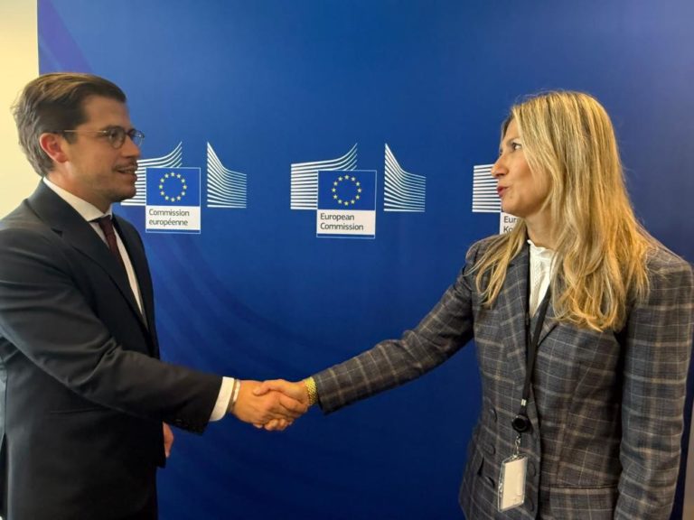 Mar Vaquero advierte en Bruselas sobre el riesgo del decreto de centros de datos para el desarrollo tecnológico de Aragón