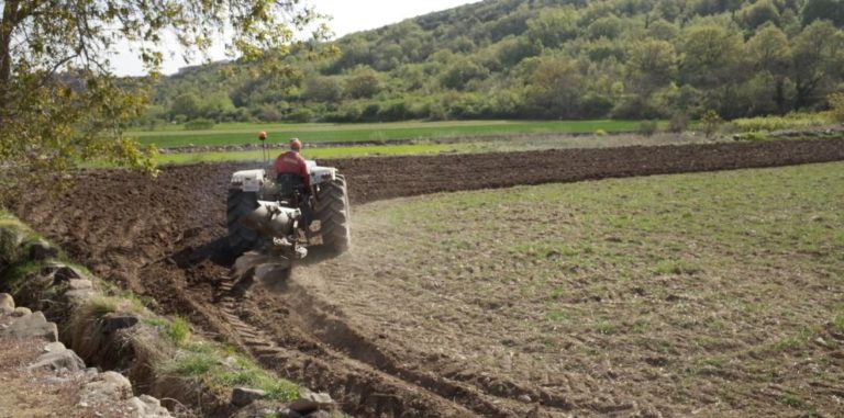 Más de 10.000 agricultores recibirán beneficios de seguros agrarios aragoneses