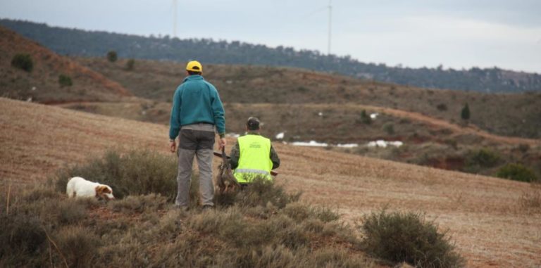 Más de 3.100 jabalíes retirados en febrero refuerzan la estrategia de Aragón contra la peste porcina africana