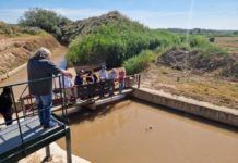 Pedrola celebra el Trallo con la consejera Arancha Simón en un acto tradicional de gestión del agua