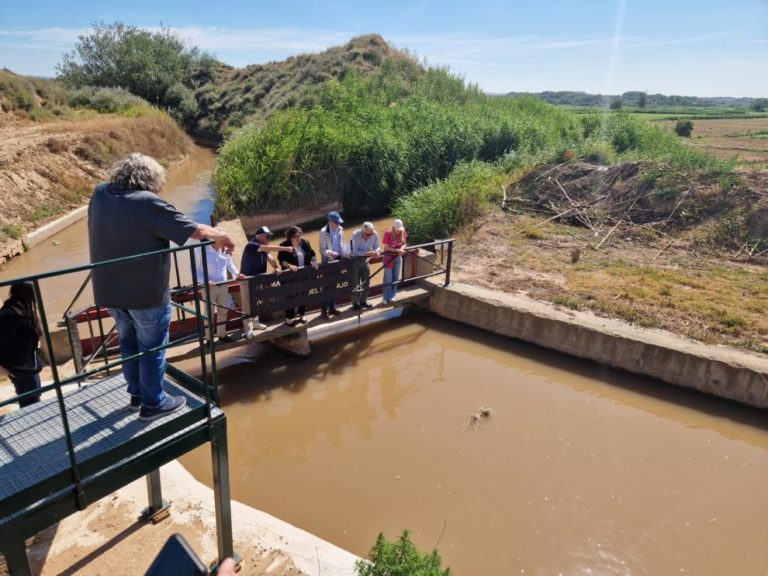 Pedrola celebra el Trallo con la consejera Arancha Simón en un acto tradicional de gestión del agua