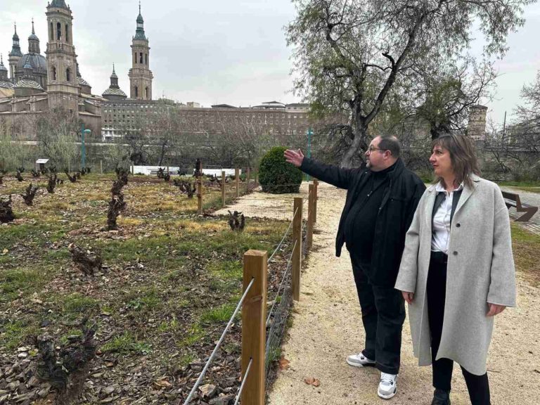 Ranera critica las decisiones de Chueca sobre el Parque Macanaz y las necesidades del Arrabal