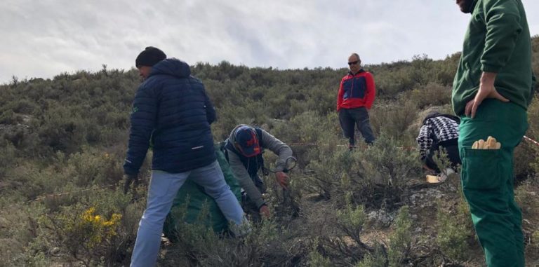RECOLECTAPAM presenta avances en la valorización sostenible de plantas aromáticas