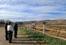 Reconocimiento al sector equino en María de Huerva con casi 4.000 explotaciones en Aragón