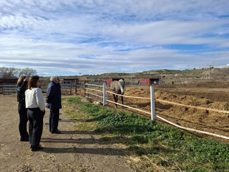 Reconocimiento al sector equino en María de Huerva con casi 4.000 explotaciones en Aragón
