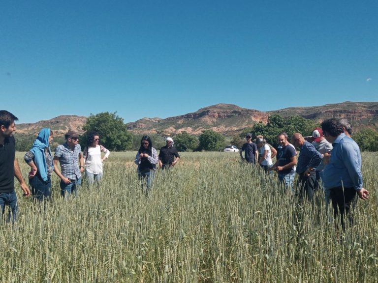 Los resultados del proyecto FITE Red AgriFoodTe se presentarán el 17 de diciembre en Teruel