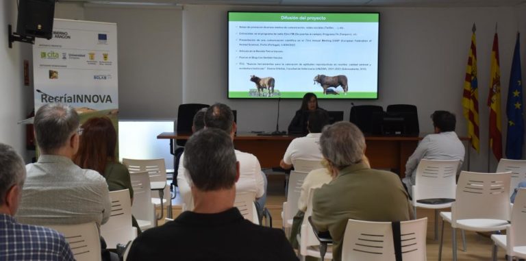 RecríaINNOVA optimiza la selección de reproductores en vacuno de carne