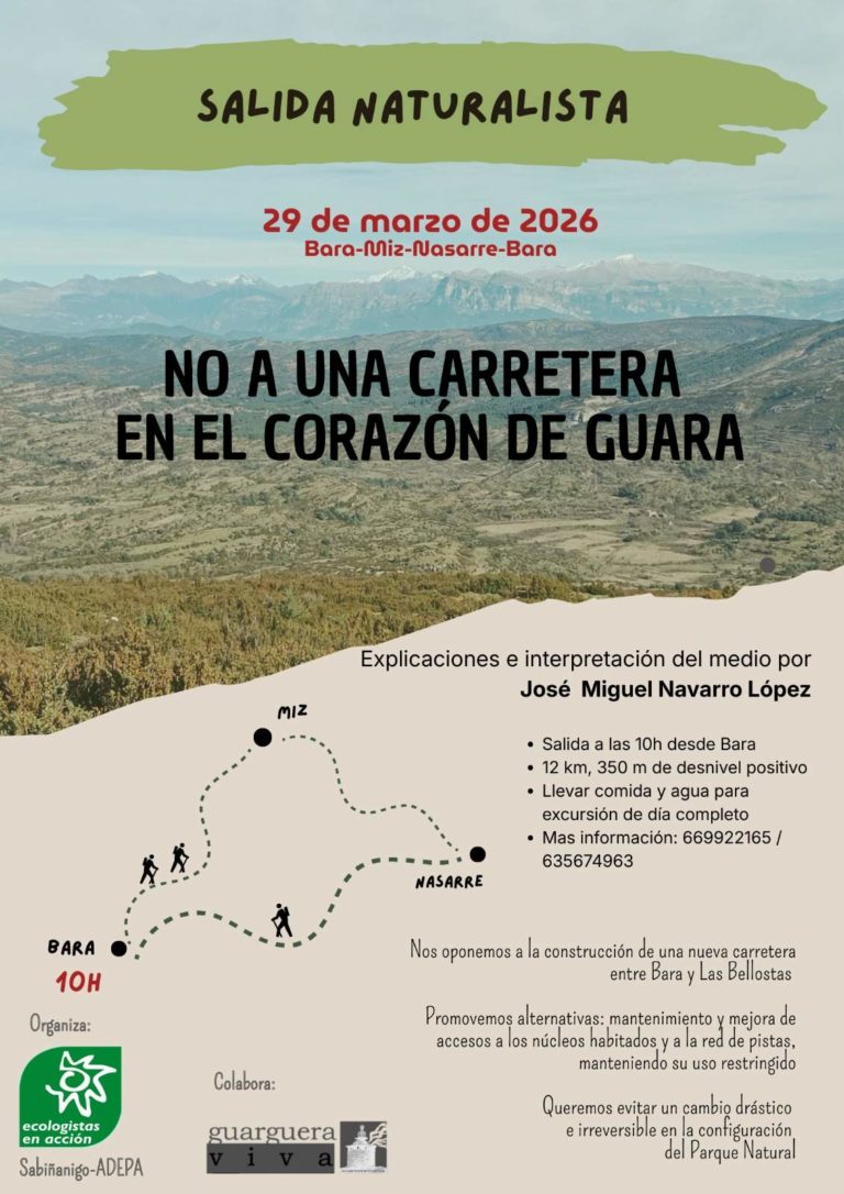 Sabiñánigo rechaza la carretera Bara-Las Bellostas y apoya marcha ambientalista