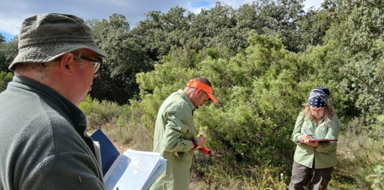 Aragón avanza en la delimitación de los montes de utilidad pública
