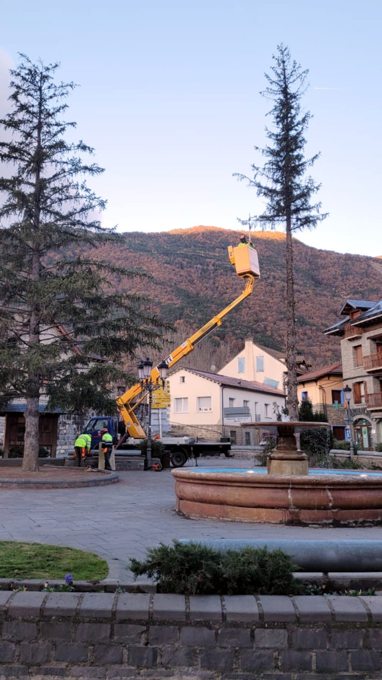 El PAR de Biescas exige informes técnicos que avalen la tala de árboles emblemáticos en la plaza del ayuntamiento