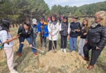Teruel celebra el Día Internacional de los Bosques con la plantación de 350 árboles
