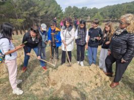 Teruel celebra el Día Internacional de los Bosques con la plantación de 350 árboles