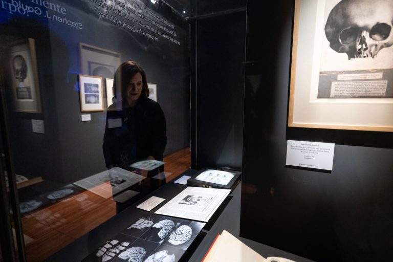 Zaragoza acoge la exposición «Cerebro(s)» en el Centro de Historias