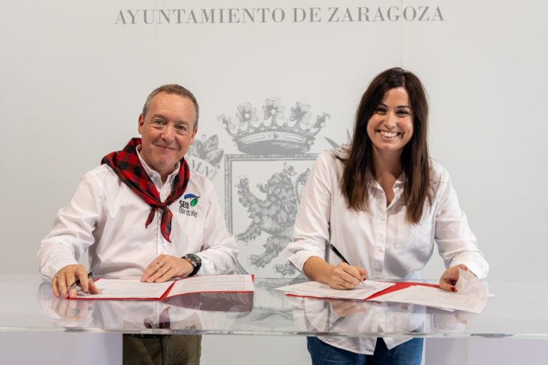 Zaragoza ampliará el seguimiento de aves urbanas en colaboración con SEO/BirdLife