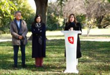 Zaragoza licita el proyecto ‘ZGZ Verde 360’ de más de 8 millones de euros