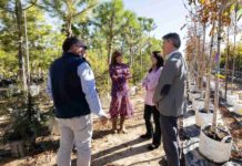 Zaragoza lanzará un ambicioso plan para plantar 2.000 nuevos árboles en 2025