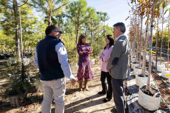 Zaragoza lanzará un ambicioso plan para plantar 2.000 nuevos árboles en 2025_1_compressed