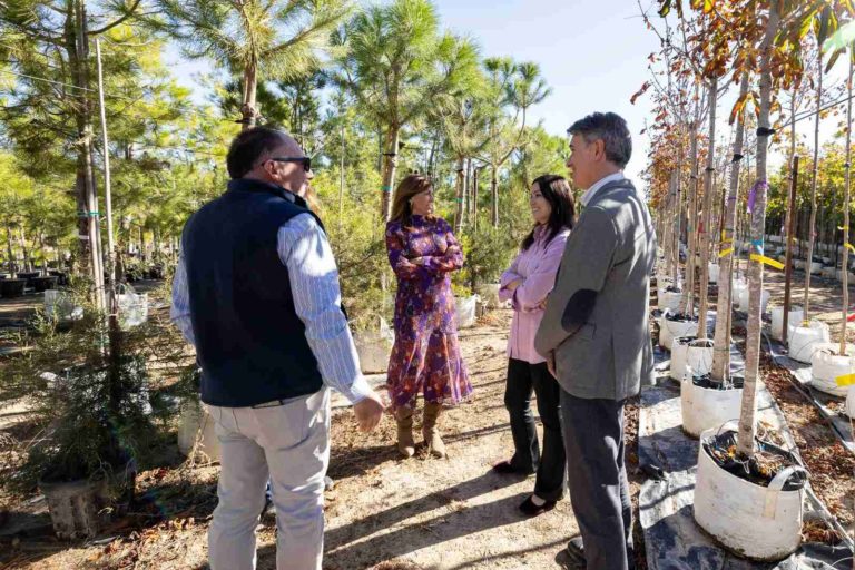 Zaragoza lanzará un ambicioso plan para plantar 2.000 nuevos árboles en 2025